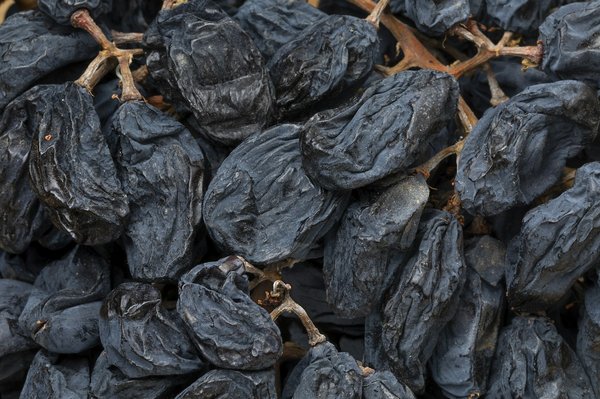 Où participer à une vendange dans les vignobles de la vallée du Rhône?